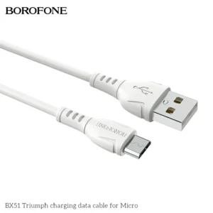 Borofone Bx51 Micro 6